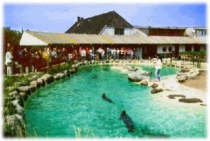 seehund-station